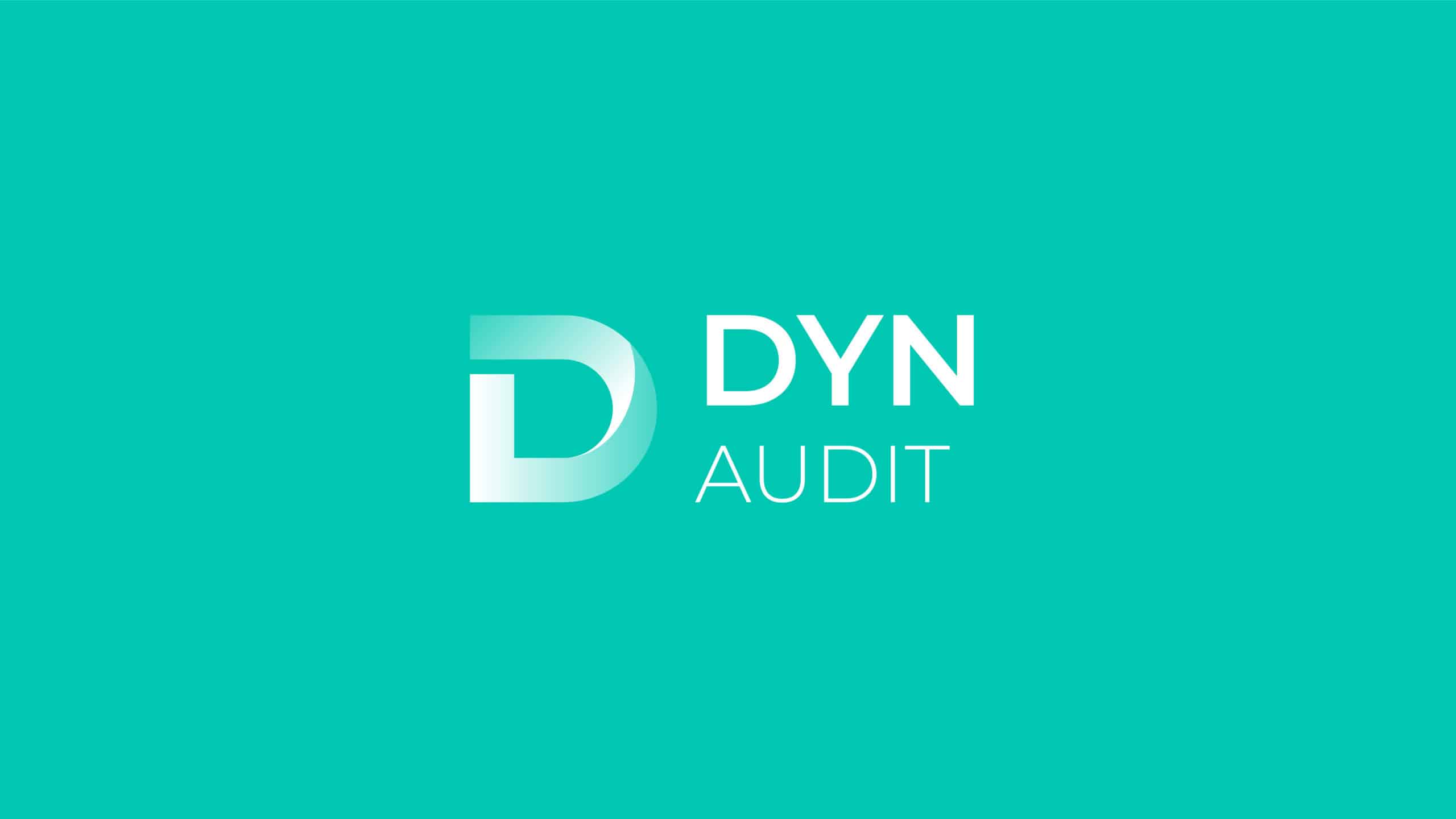 dyn-audit